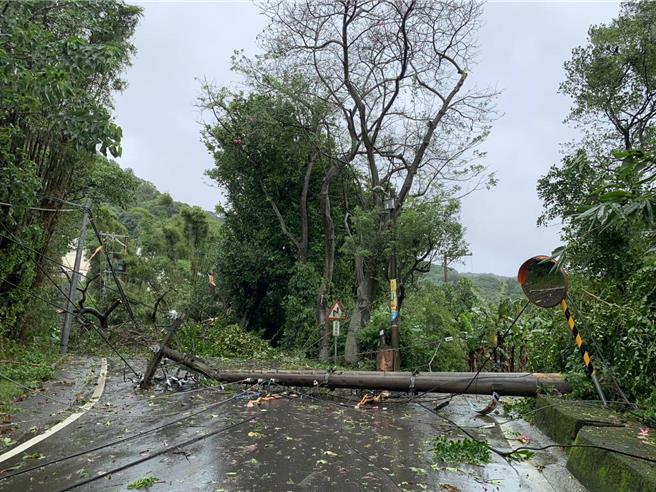 桃園累積1.1萬餘戶停電，台電桃園區處總動員，加上桃市府支援清除障礙物，截至下午1時已復電5707戶、約51％。（台電提供／蔡依珍桃園傳真）