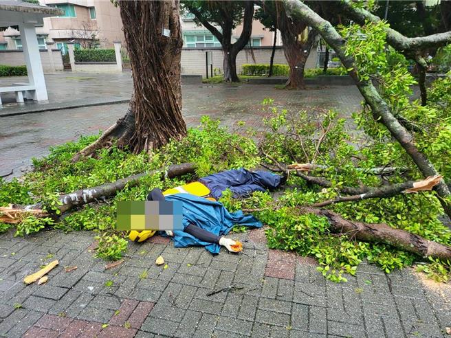 公園路燈管理處員工執行工作受傷。（翻攝自民眾臉書）