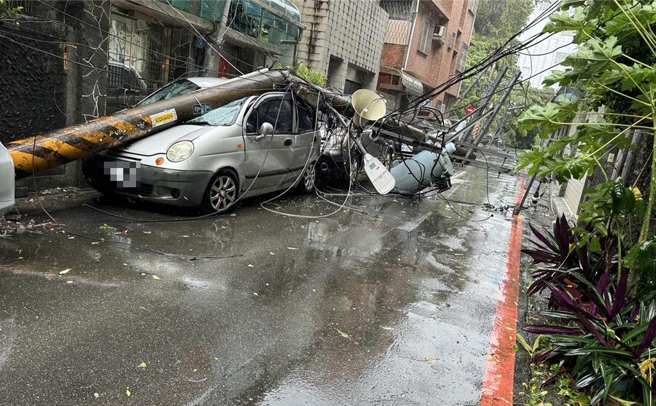 强颱「康芮」袭台除了带来强劲雨势外，更为北台湾带来8至9级强风，新北市新店区三民路1棵路树今（31）日下午1时许不敌大风倒塌。（新店警分局提供）