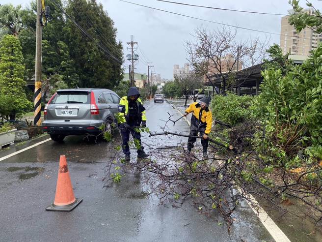 桃園永安北路112號旁路樹倒塌。（圖警方提供／簡銘柱翻攝）