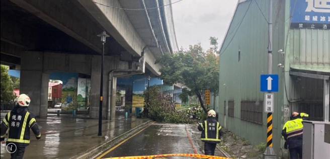 桃園國際路一段687巷（國二橋下旁）路樹倒塌，警、消已到場排除中。（圖警方提供／簡銘柱翻攝）