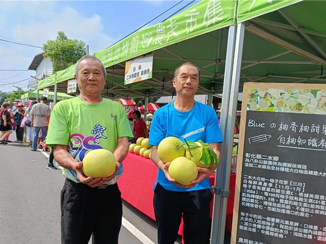 白柚目前正進入採收期，尤其在霜降過後，更是白柚最好吃的時節，對於康芮颱風來攪局，藍瑞卿（右）無奈表示，只希望老天爺能留口飯給農民吃。（葉靜美攝）