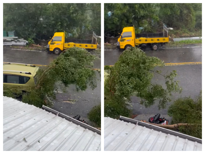 紀曉君的機車被壓倒。（紀曉君臉書）