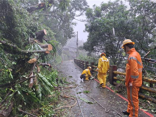 台电北南区处抢修人员砍除压倒高压电线的路树，修復供电线路。（台电提供）