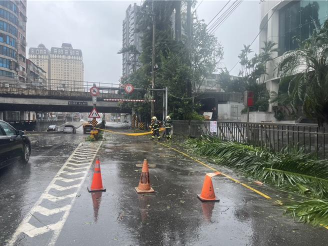 新北市新店區復興路今（31）日下午1時許，有民眾目擊電線突「狂噴火花」以為是爆炸，擔心釀成火災遂報警求助。（新店警分局提供）