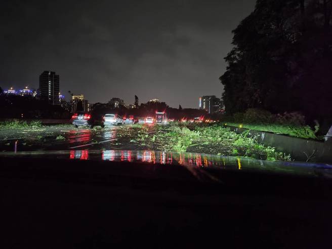 國道三號土城段北上車道，因為樹枝散落導致車道封閉。（翻攝畫面）