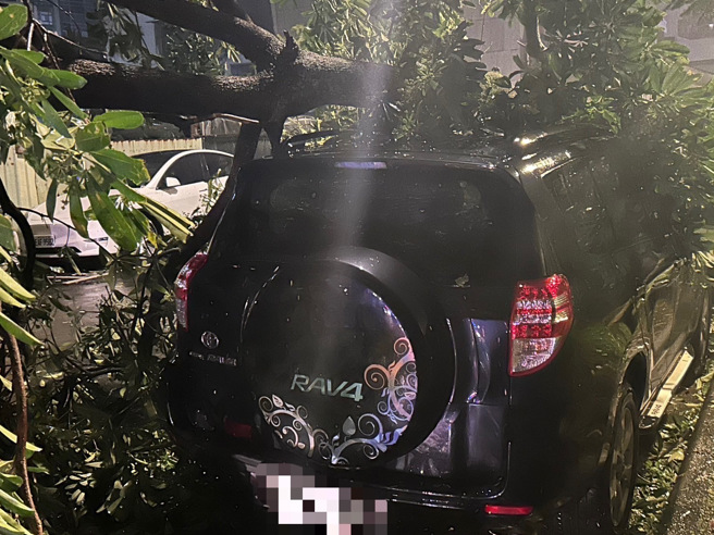 今（31）日下午6时36分接获报案，潭美街发生路树倒塌事件，随即派员赶往现场。（图警方提供／简铭柱翻摄）