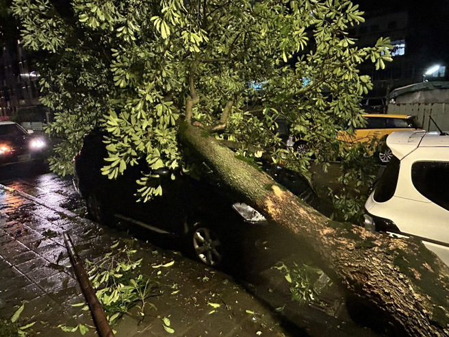 今（31）日下午6时36分接获报案，潭美街发生路树倒塌事件，随即派员赶往现场。（图警方提供／简铭柱翻摄）