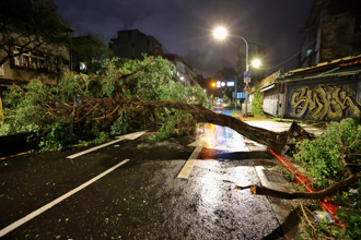 康芮強襲引CNN大讚台灣1點 路透：台積電不受影響