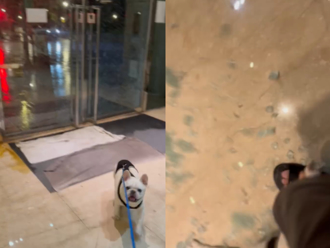 生死瞬間！「信義區大樓玻璃」遭吹爆 住戶帶愛犬奔逃：以為要被登出