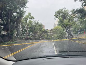 大台北7年來沒遇過！ 洪孟楷3圖曝「康芮掃過」立院周邊慘況