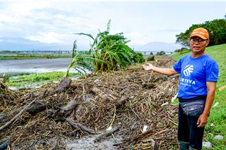 收入全泡湯！康芮肆虐宜蘭 過年青蒜恐缺席