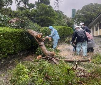 康芮過後故宮樹倒滲水 至善園暫時封閉