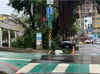 康芮掀基隆！路樹壓車、鐵皮飛散、貨櫃倒 店家災情重