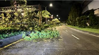 康芮肆虐北市堤頂大道21處樹倒 內湖警漏夜鋸樹移除