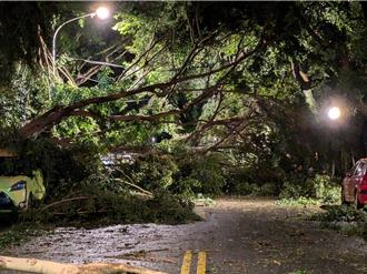 風災通勤遲到怎麼辦？新北勞工局籲：不扣薪不扣全勤