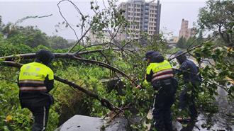康芮肆虐桃園！ 龍潭警接獲破百件路樹倒塌災情