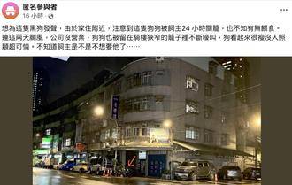 板橋颱風天虐狗！黑狗被關籠嚎叫24小時 公司遭指控不當飼養多年