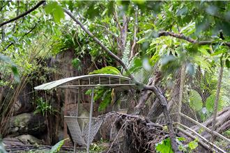 康芮過境搶修不及 北市動物園2日部分園區暫停開放