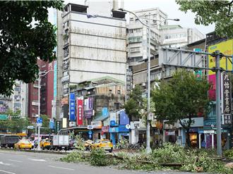 颱風過境北市各處傳災 工務局力拚今日完成主幹道樹損清理