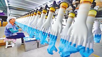 醫療手套需求旺 乳膠雙雄前景俏