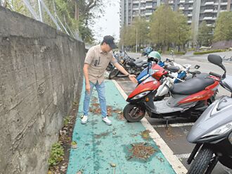 左營 標線人行道違停多 公家踢皮球