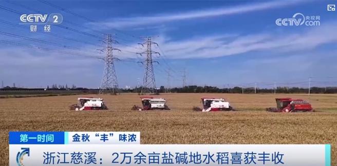 陸金秋豐收振興鄉村   增效益、增收入、增就業。（大陸央視）