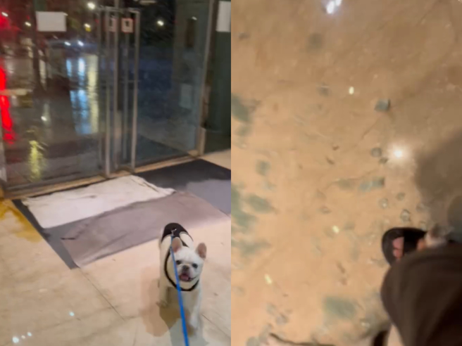 一名住在台北市信義區的網友昨晚原先要帶狗狗去外頭上廁所，正當他站在1樓大廳玻璃牆前觀察外頭情況時，整片玻璃突然被吹到爆裂。（翻攝臉書信義區三兩事）