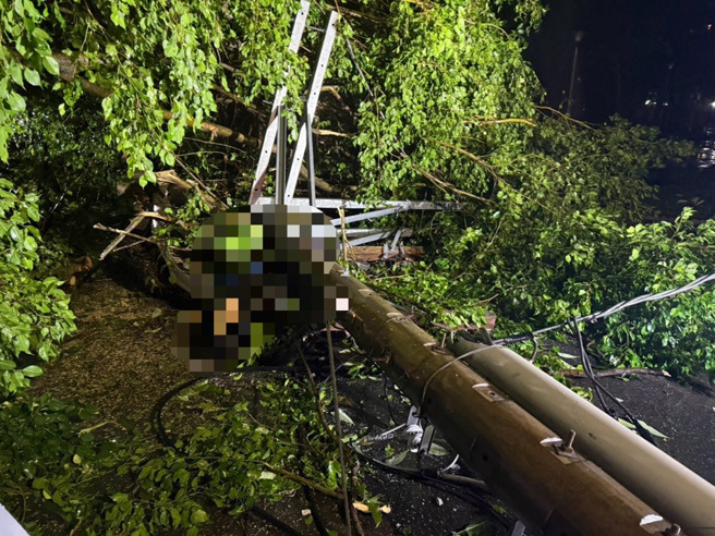 48歲騎士遭倒塌電桿壓傷，送醫時仍搶救不治。（翻攝畫面）