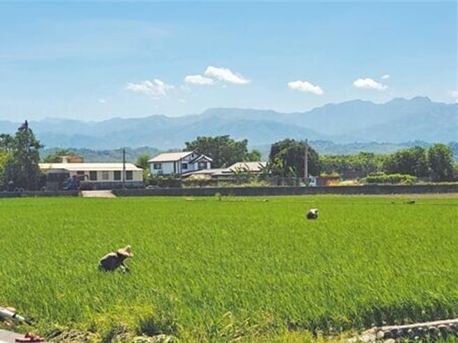 内政部强调，国土计画法的施行不影响民眾原有合法权益，并兼顾维护农业生产环境及地方发展需求，请尚未提送国土功能分区图草案的地方政府，儘速完成审议作业后提送内政部。（本报资料照片）