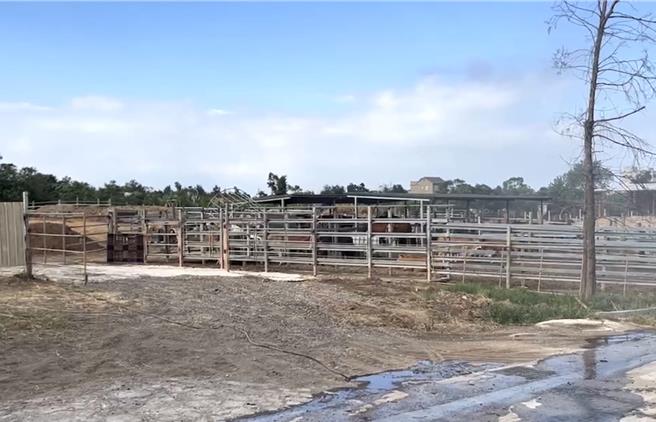 警消獲報立即出動4車11人趕抵現場射水救援，在業主迅速協助移開尚未被大火引燃的乾草後，火勢約在半小時內控制撲滅，未波及牧場牛隻及人員安全。(圖／民眾提供)