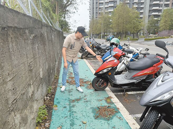 高雄左營桃子園路1處標線人行道，經常會有機車闖入、違停，讓經過的居民困擾。（紀爰攝）