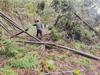 好消息！溪水暴涨南投4钓客失联2天 空勤今早寻获均平安