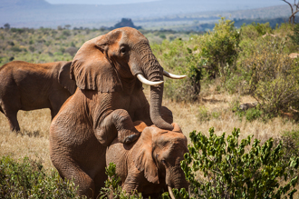 希臘公主「闖18禁現場」性感擺拍 網一看全臉紅