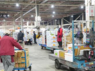 台北市蔬菜均價破51元 北農估：最快1周恢復穩定