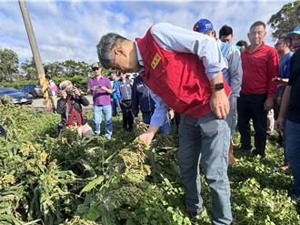 颱風接續侵台釀嚴重農業災損 陳駿季：年底檢討救助金