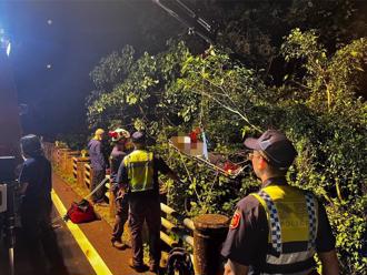 游阿里山出事！她转弯失控「坠20米卡边坡」 救援现场曝