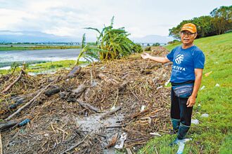 宜蘭青蒜重傷 農民：十年來最慘
