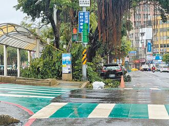 基隆望幽谷步道 封閉至明年