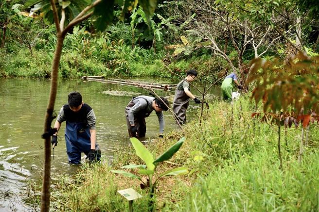  学生于「医泽园」协助水池管理，进行栖地维护。
（国防医学院提供）