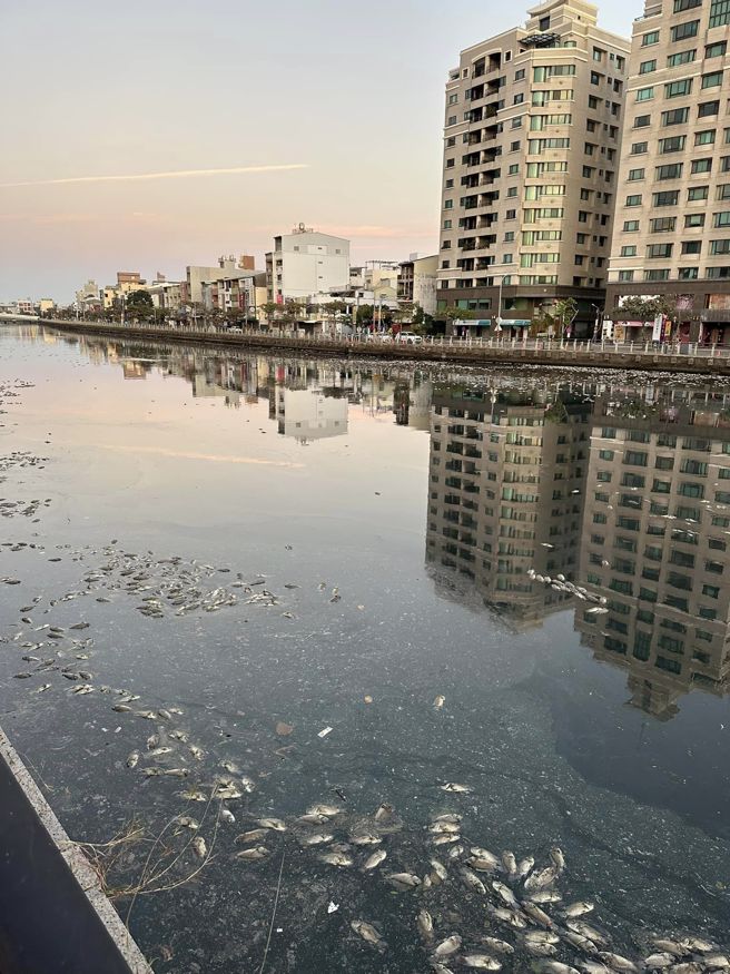 台南市环保局表示，研判应为颱风大雨导致运河浊度提高影响水质，造成鱼群集体死亡。（翻摄爆废公社二馆）