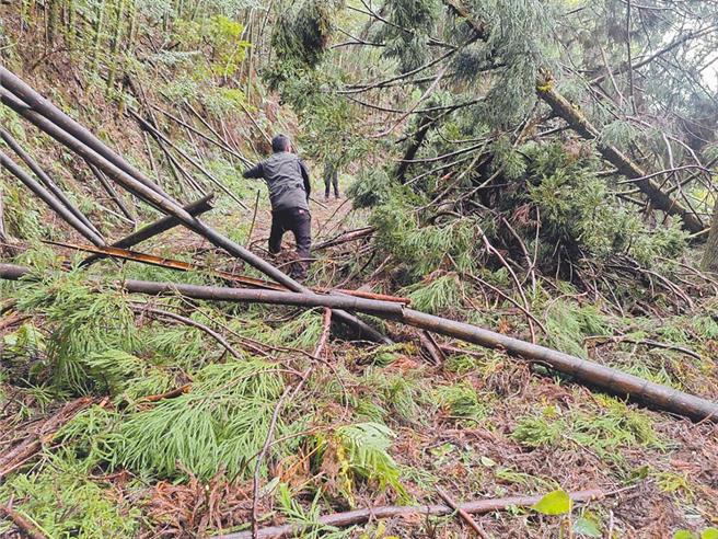 南投县仁爱乡叶姓村民等4人失联，前往帕那巴拉杜山径遗失，搜救队1日决定撤退，2日空勤队寻获均安。（南投县消防局提供／杨静茹南投传真）