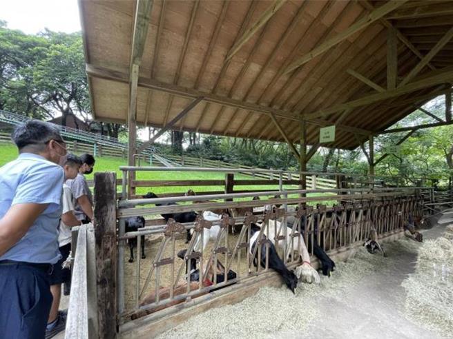 苗栗縣政府動保所月前邀集3名農業專家，前往飛牛牧場實施評鑑稽查，結果飛牛牧場表現優異，綜上評比獲得「優級」評價。（苗栗縣政府提供／謝明俊苗栗傳真）