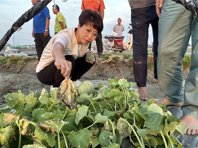 康芮颱風造成台南市農業災損，立委陳亭妃昨、今2天馬不停蹄地到北門、將軍和東山等地關心農損。（陳國庸提供／張毓翎台南傳真）