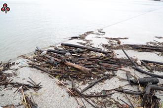 淡水河大肠杆菌严重超标挨批 北市环保局：持续优化