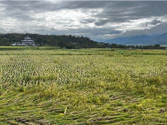 康芮肆虐 花蓮農損破1.5億 現金救助開放申請