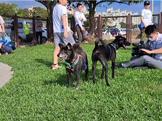 全台首例！民間認養中山區美堤狗活動區 供毛孩放電空間