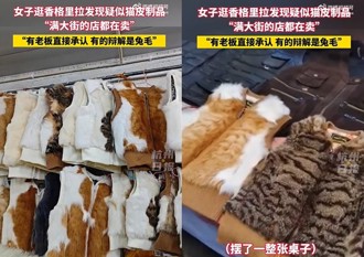 逛香格里拉古街惊见「猫皮」饰品　云南老板辩：是兔兔