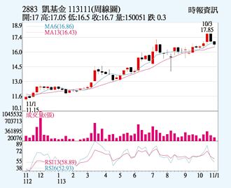 凱基金 波段低點加碼