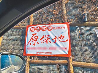 借名登記 原保地大量流失